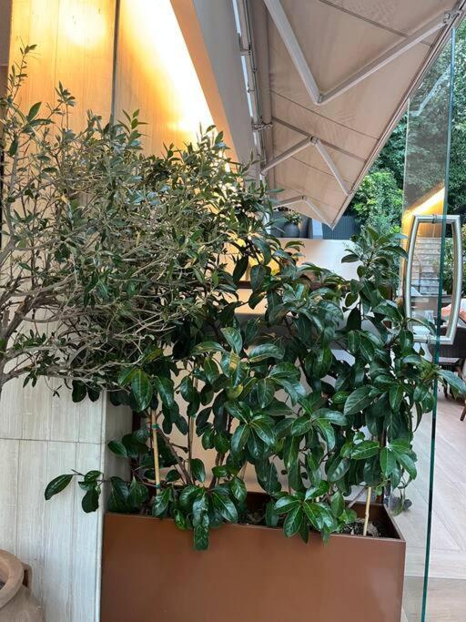 Ksenokratous-Kolonaki Cozy Apartment أثينا المظهر الخارجي الصورة